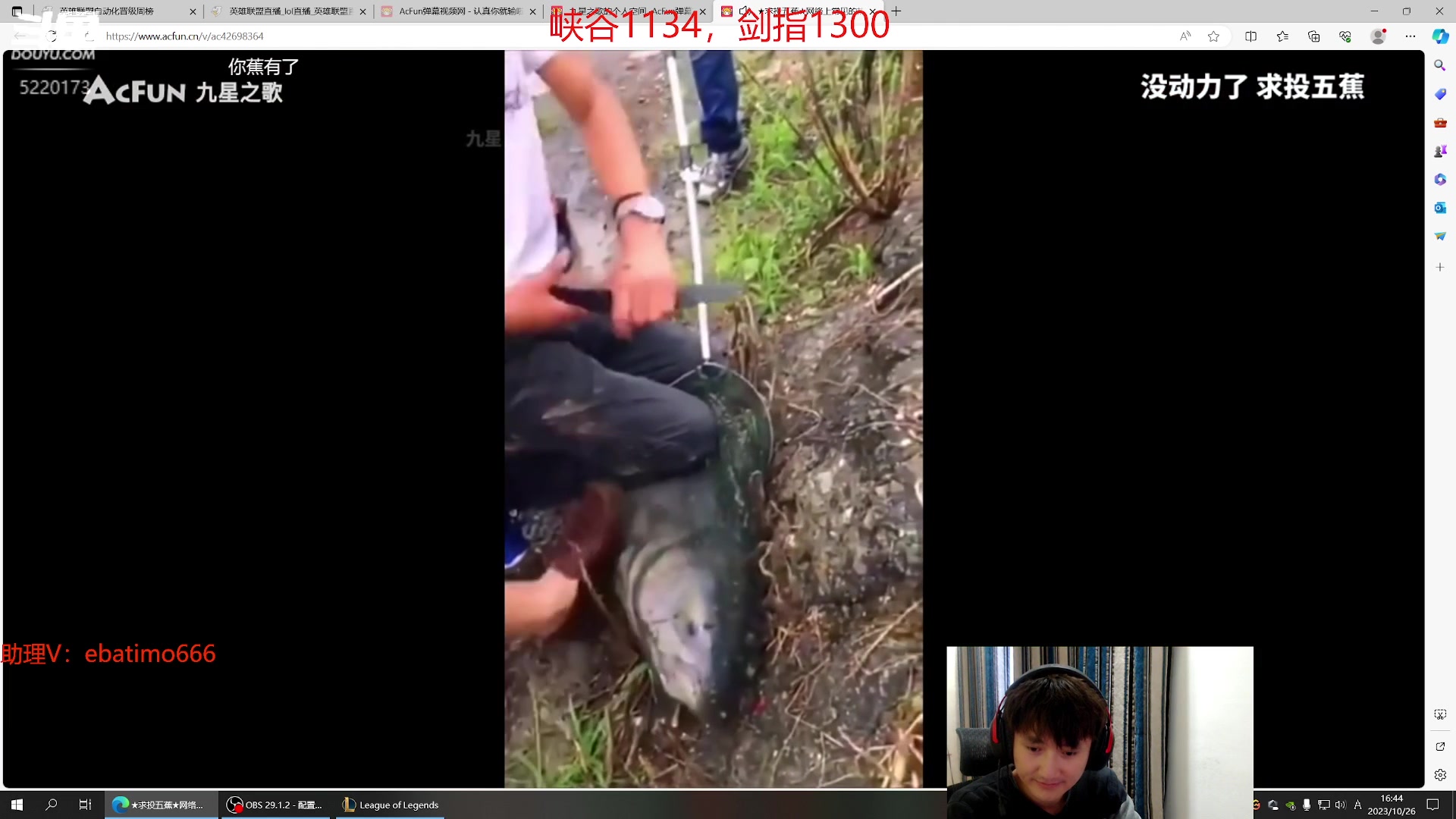 【2023-10-26 16点场】恶霸提莫：湘西第一提莫，拿到提莫=赢！