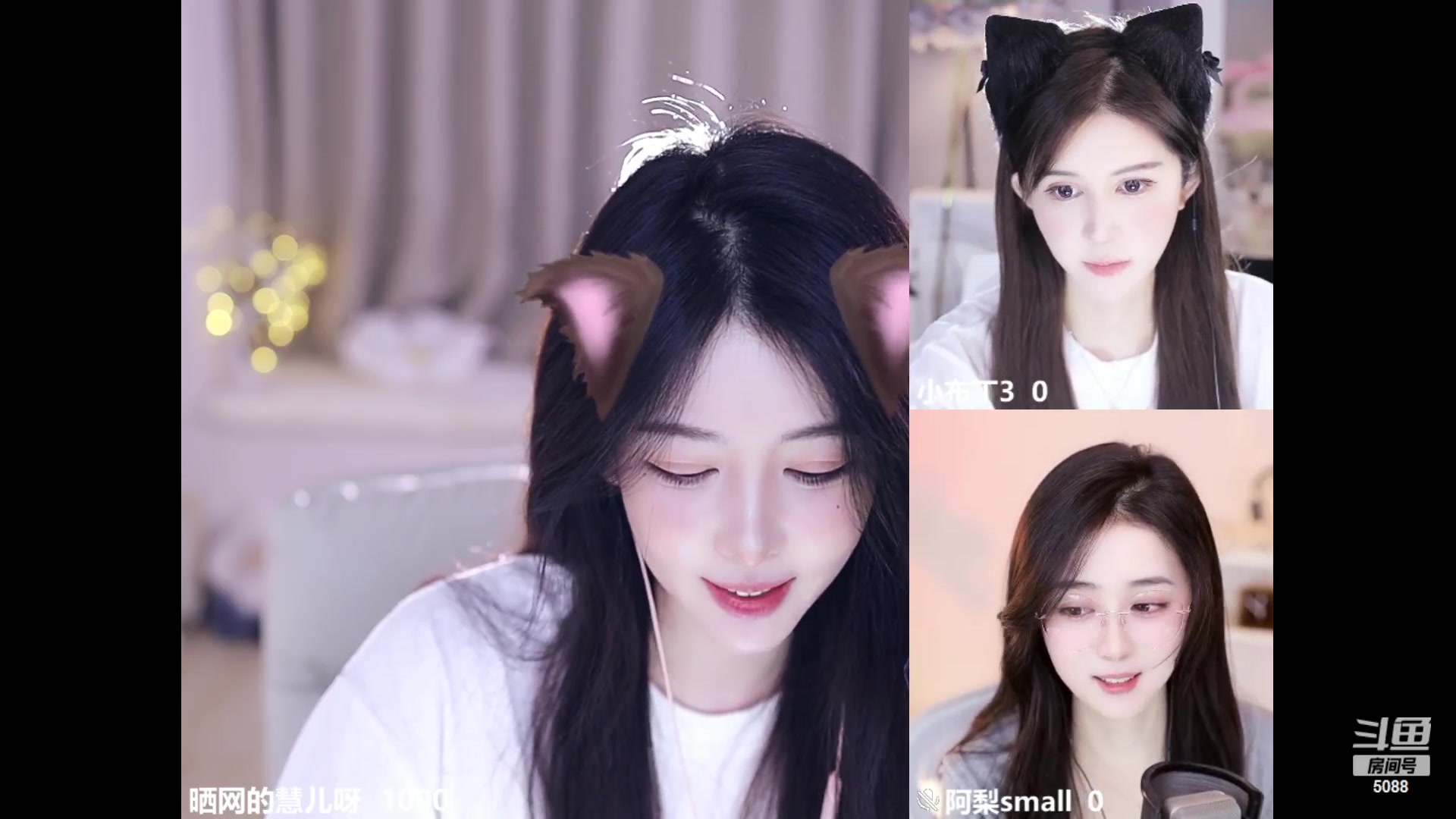 【2023-10-26 15点场】晒网的慧儿呀：小狗还是白天上班叭哈哈哈哈