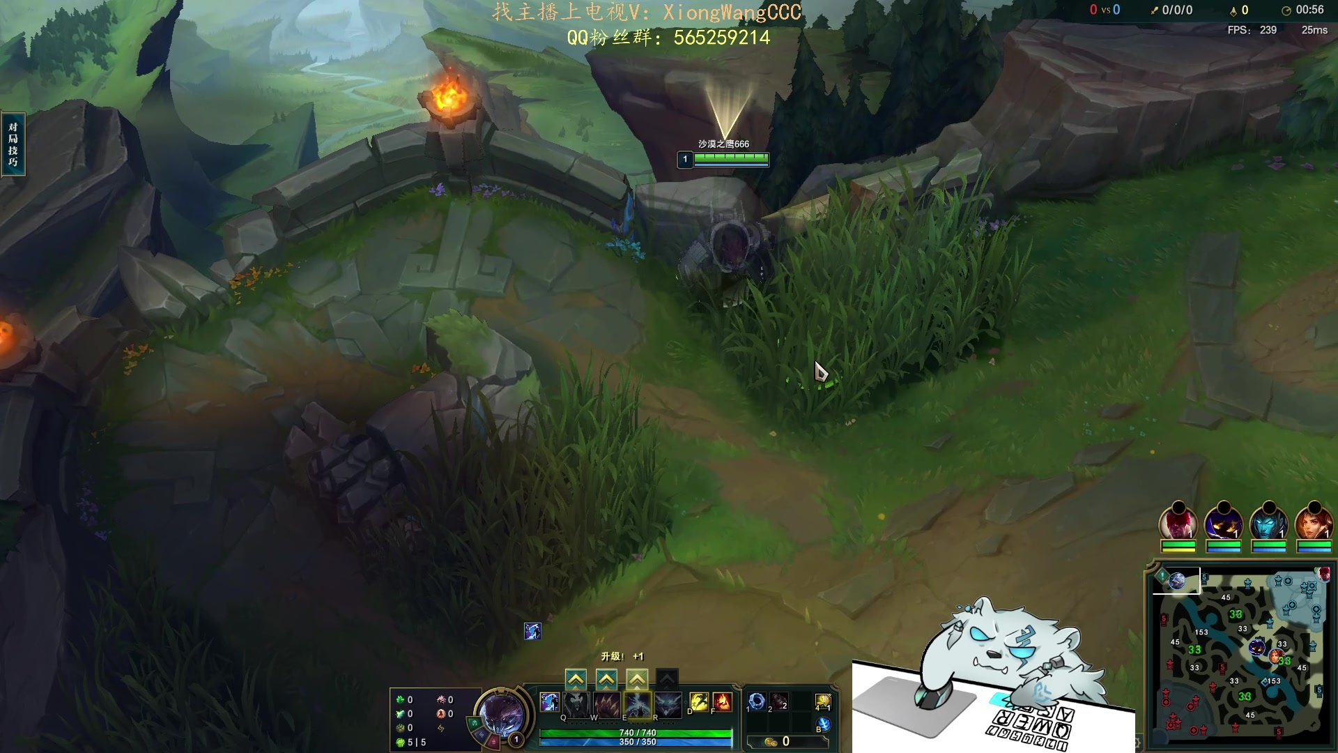 【2023-10-27 22点场】熊王c：当前录像（每天下午六点来）