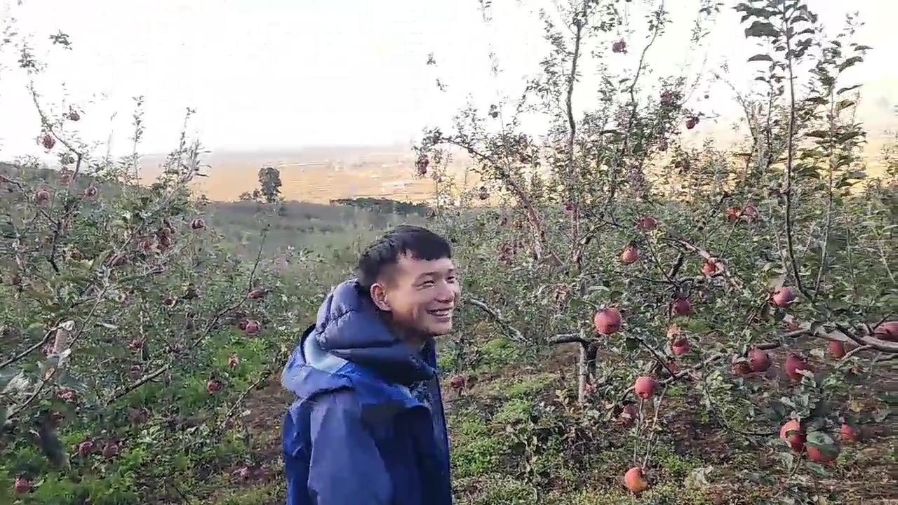 【2023-10-23 17点场】叶子户外：盐源苹果园求生 12580