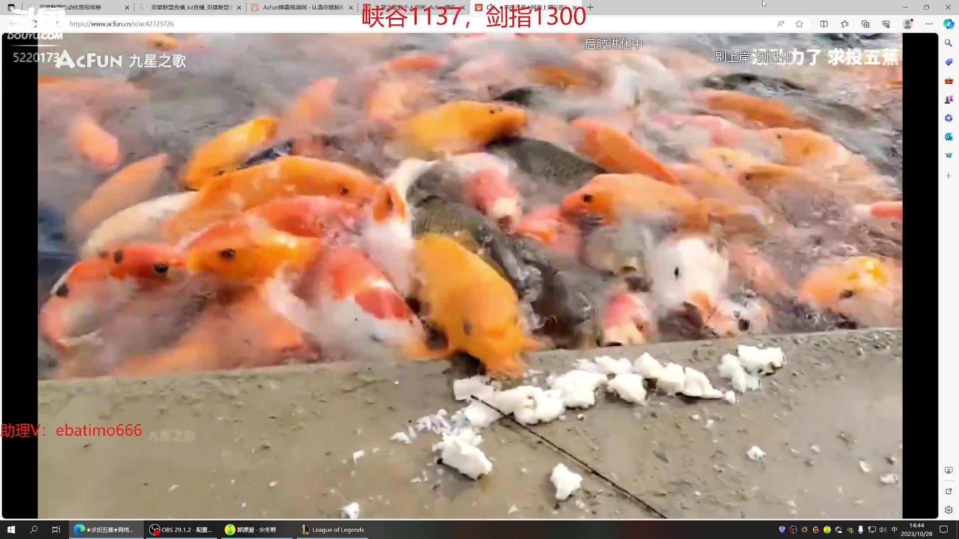 【2023-10-28 14点场】恶霸提莫：湘西第一提莫，拿到提莫=赢！