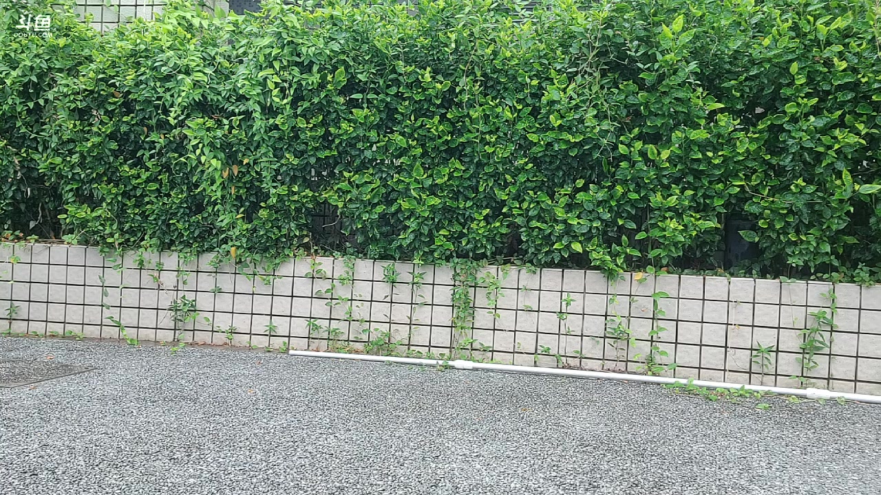 【2023-10-28 15点场】唐6儿：【小奶团】DAY 1