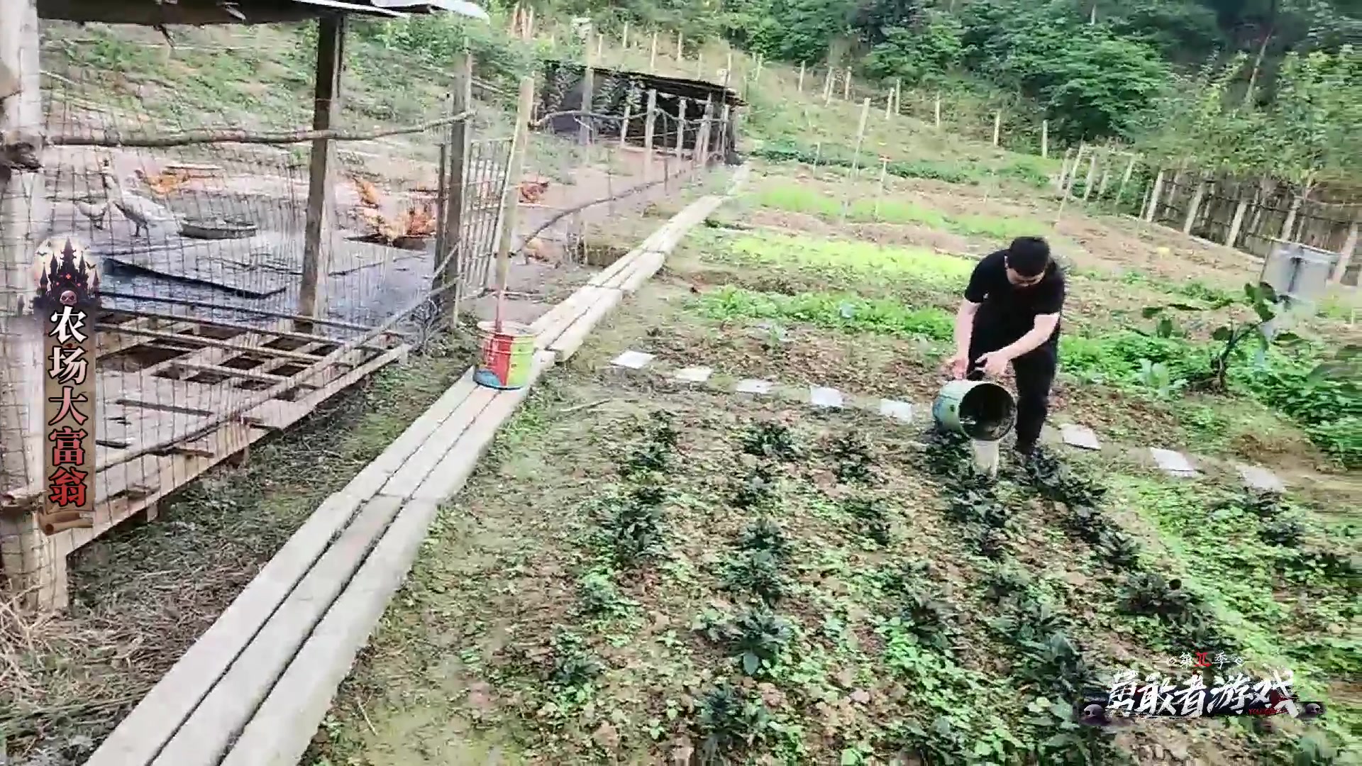 【2023-10-30 17点场】若若跑的贼快：晚上好，公主王子们