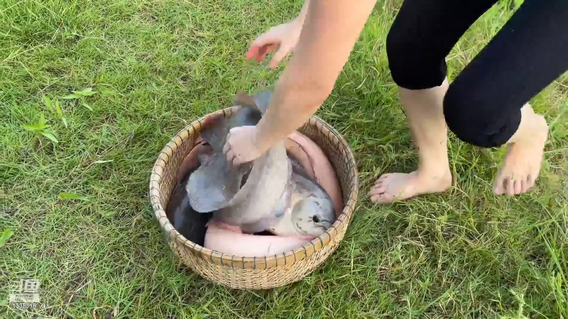 我在斗鱼看贱贱钓鱼直播户外