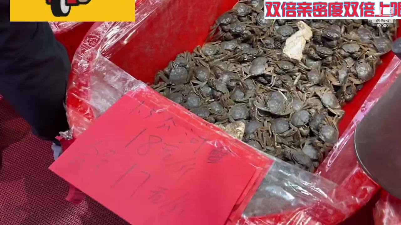 【2023-10-30 08点场】呆妹儿小霸王：【双倍】一起see