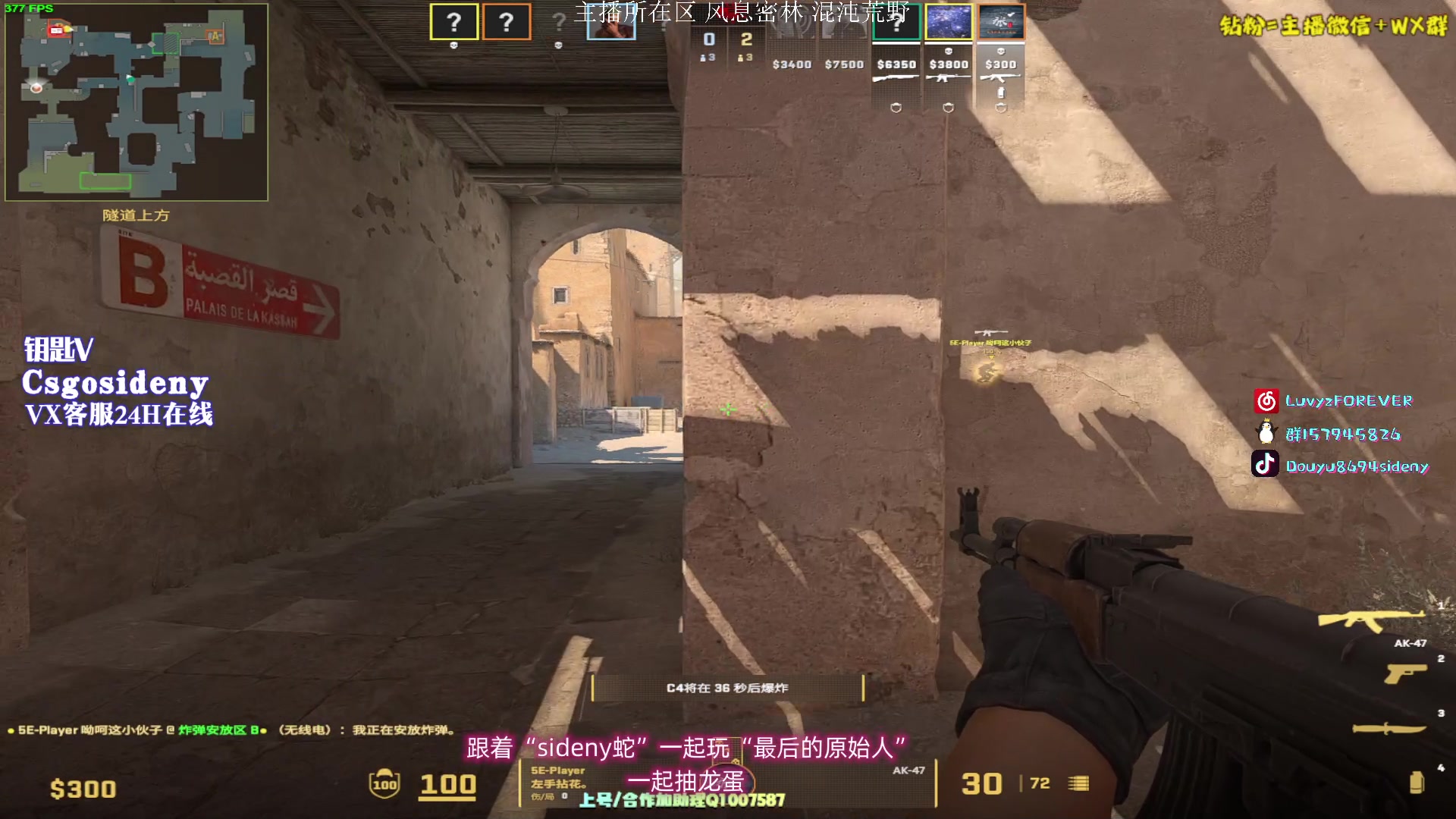 【2023-10-30 01点场】Sideny蛇：【呆猪】德尼德尼天下无敌~