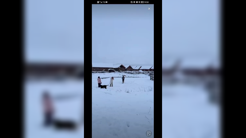 南方还是夏天，新疆已经白雪皑皑了