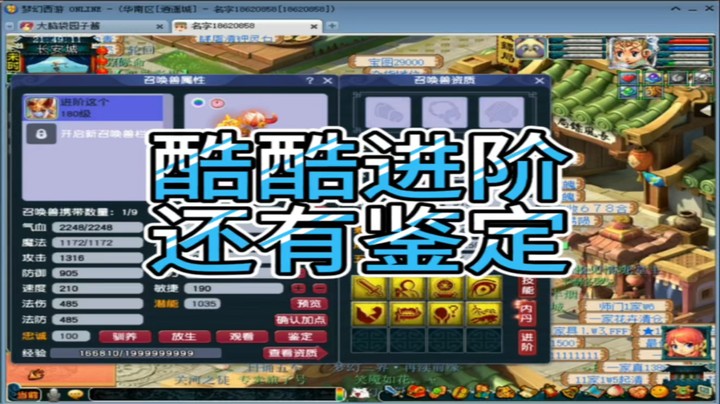 梦幻西游酷酷进阶还有鉴定