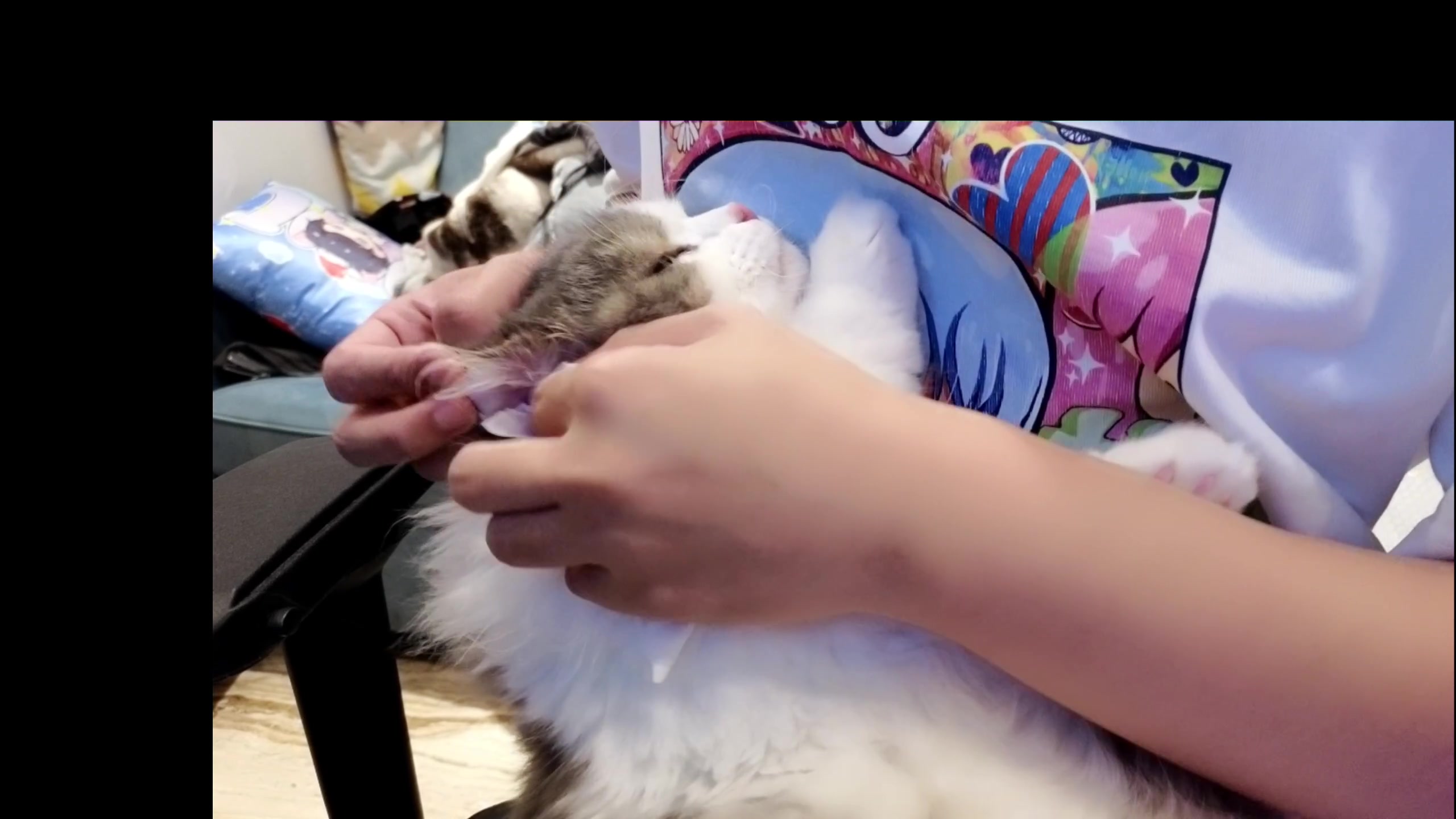 【2023-10-31 00点场】DYG萧玦：解说挑战者杯