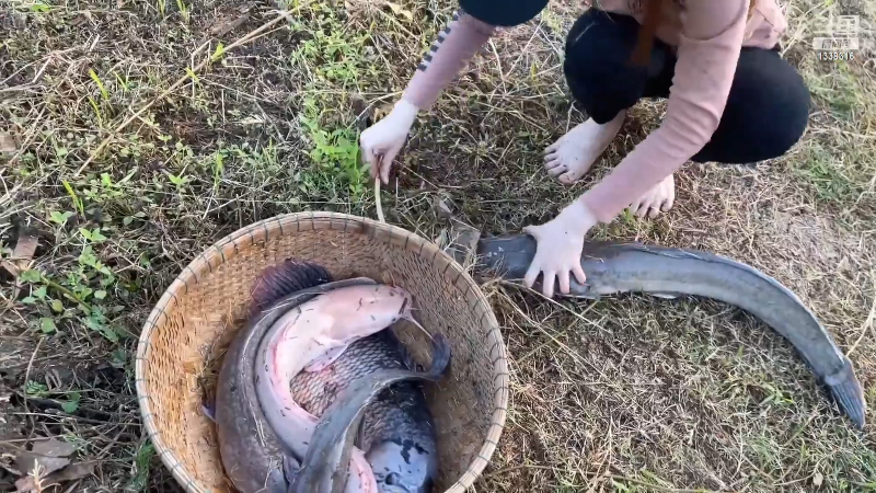 我在斗鱼看贱贱钓鱼直播户外