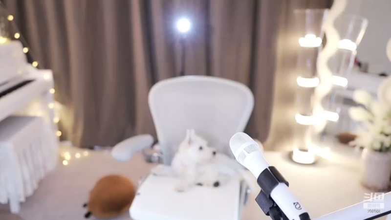 【2023-10-31 17点场】喵小莎：下午三点，晚上11点。