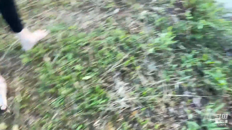我在斗鱼看贱贱钓鱼直播户外