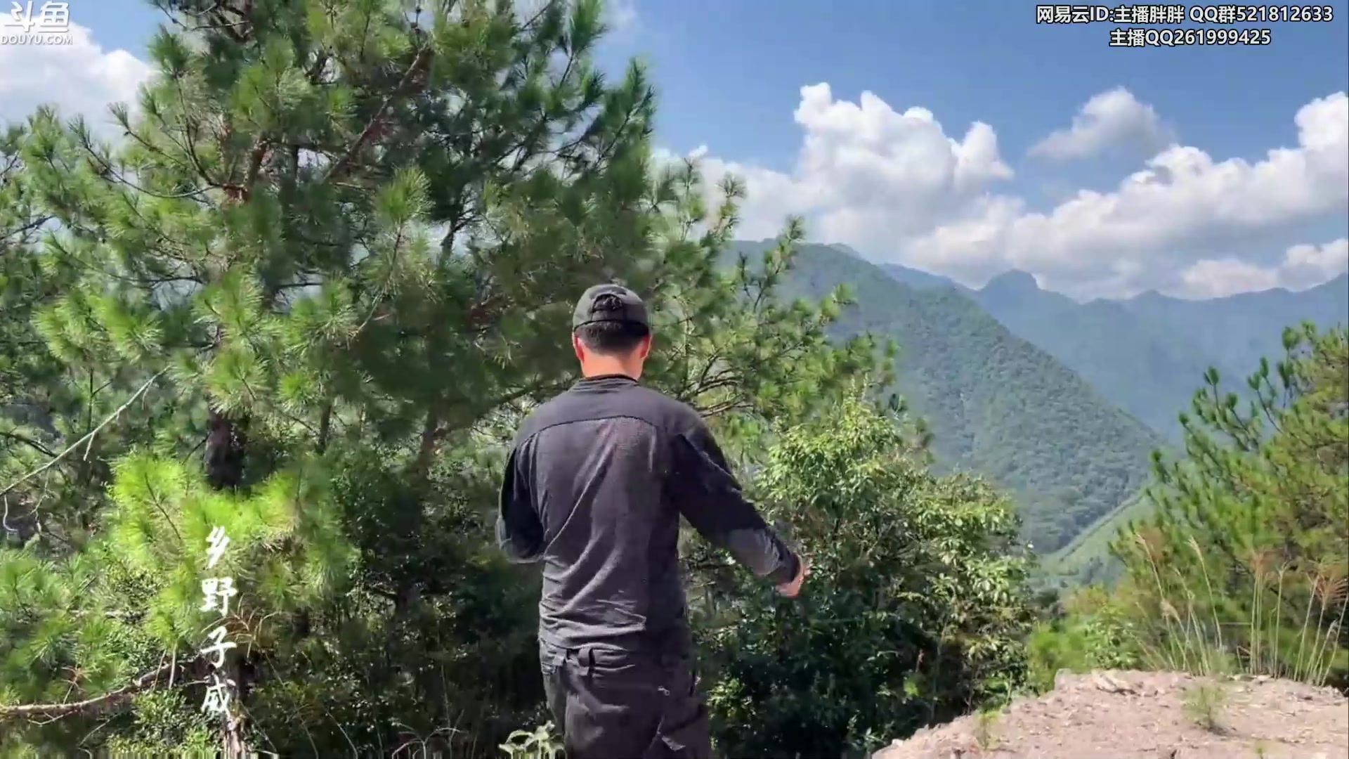 【2023-11-01 02点场】胖胖灬：胖胖OB：WBG BLG 韩服排位！