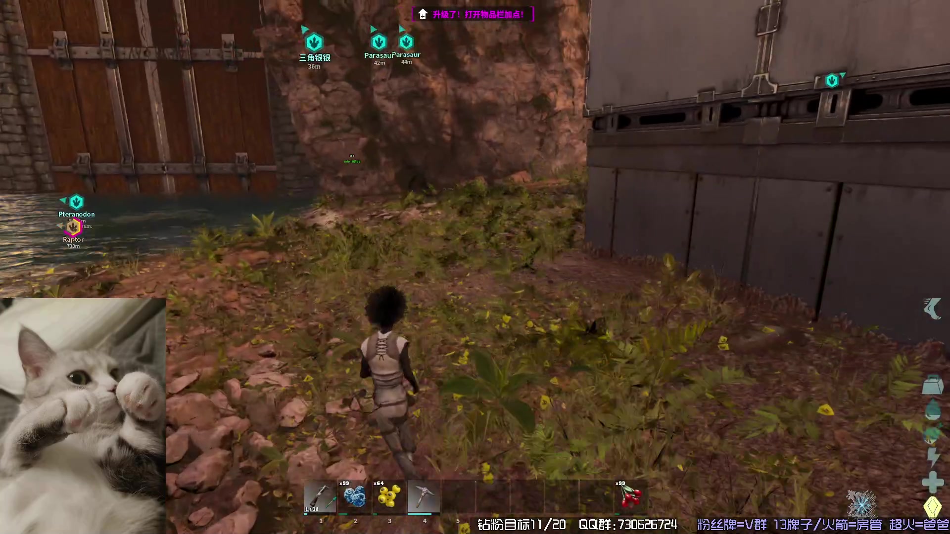 【2023-10-31 21点场】东方不败Athena：方舟启动~！喵~