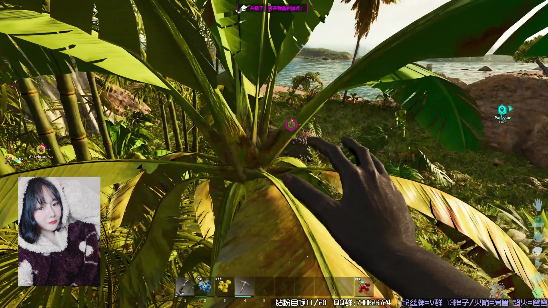 【2023-10-31 19点场】东方不败Athena：方舟启动~！喵~