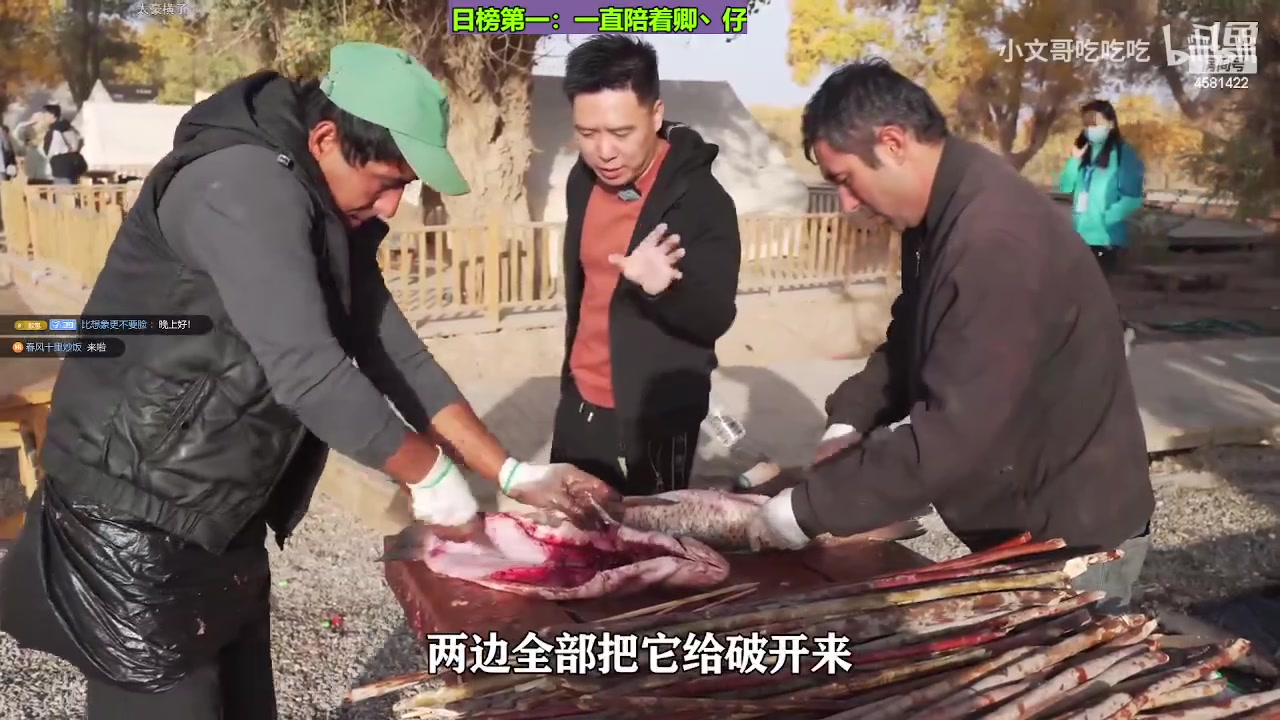 【2023-10-31 19点场】迷人的卿姐姐i：欢乐的时光开始啦~