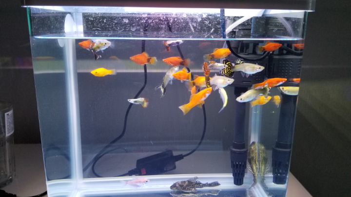 【2023-11-2 20点场】我知道午夜的星星:我知道午夜的星星的直播间