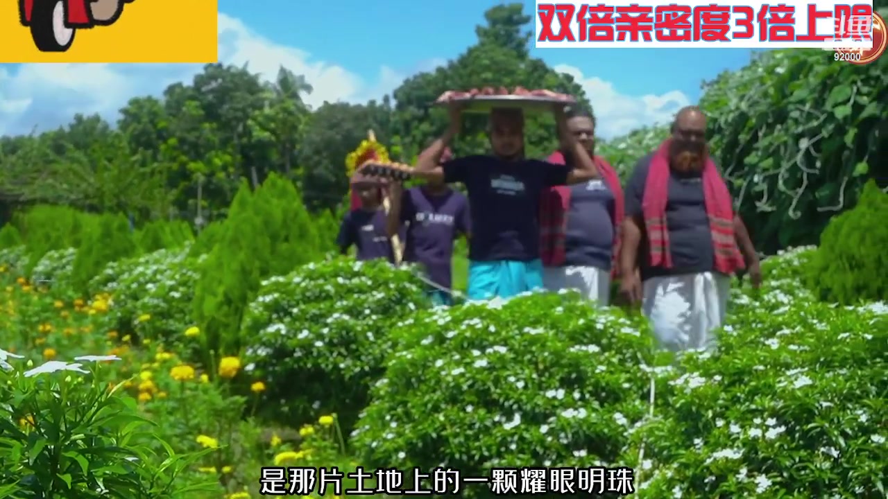 【2023-11-03 09点场】呆妹儿小霸王：【黄金3倍】一起see