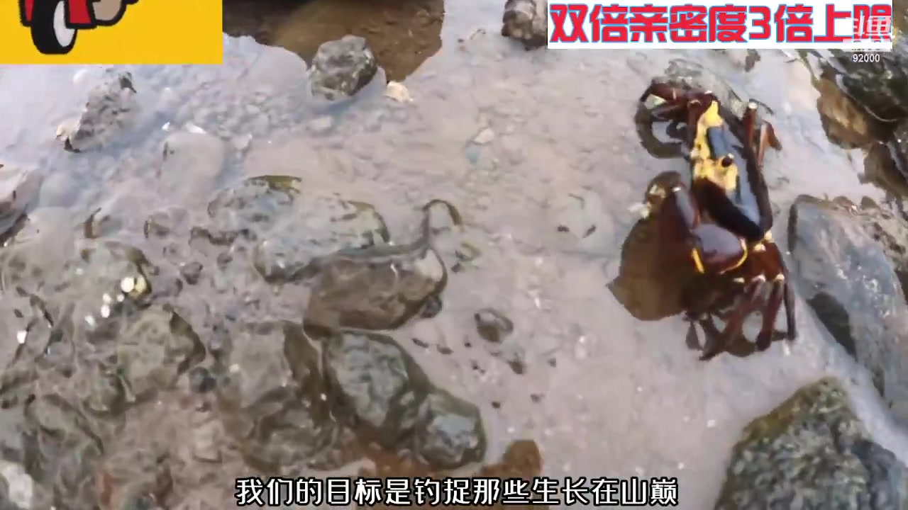 【2023-11-03 01点场】呆妹儿小霸王：【黄金3倍】一起see