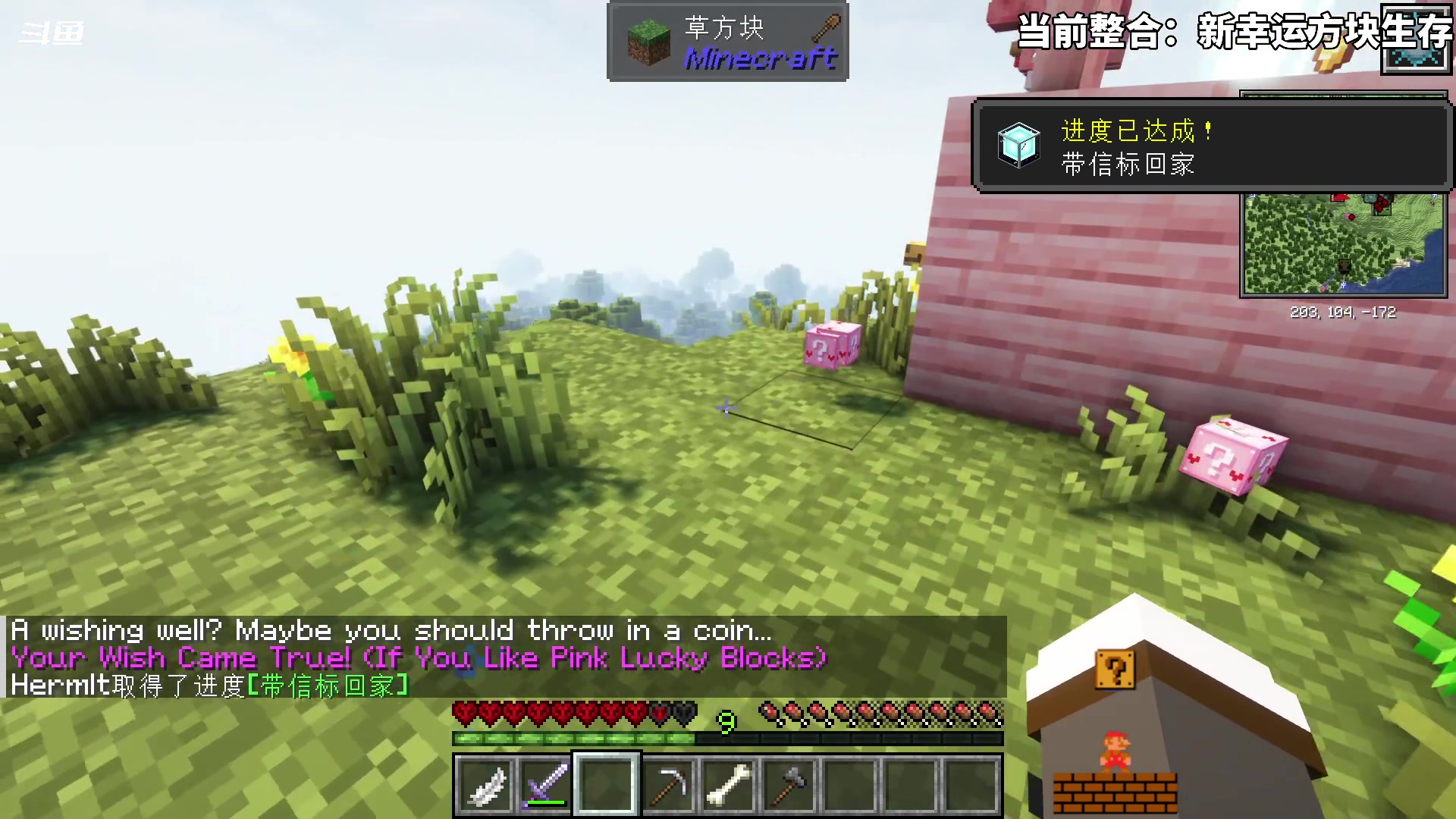 【2023-11-04 16点场】隐者丶丶：一个超级勤奋的小蜜蜂