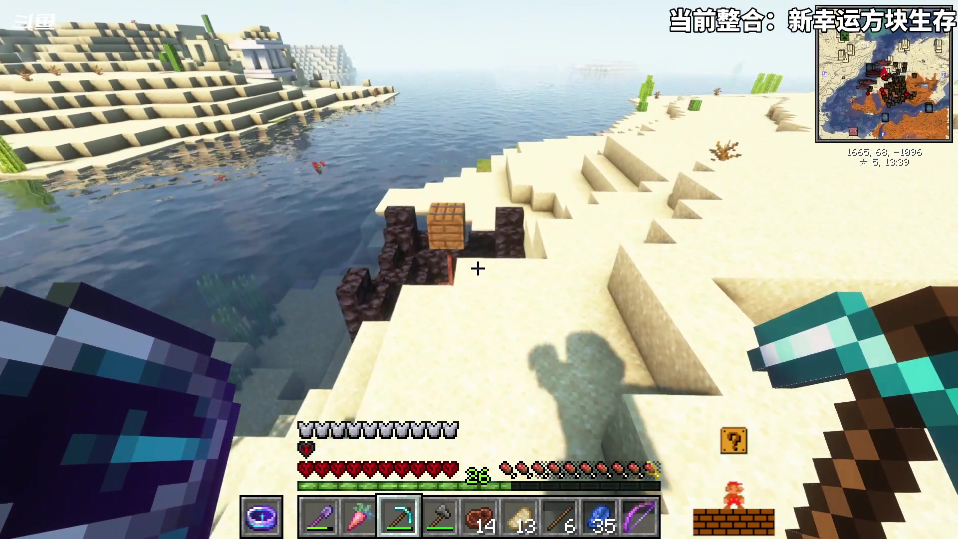 【2023-11-04 18点场】隐者丶丶：一个超级勤奋的小蜜蜂