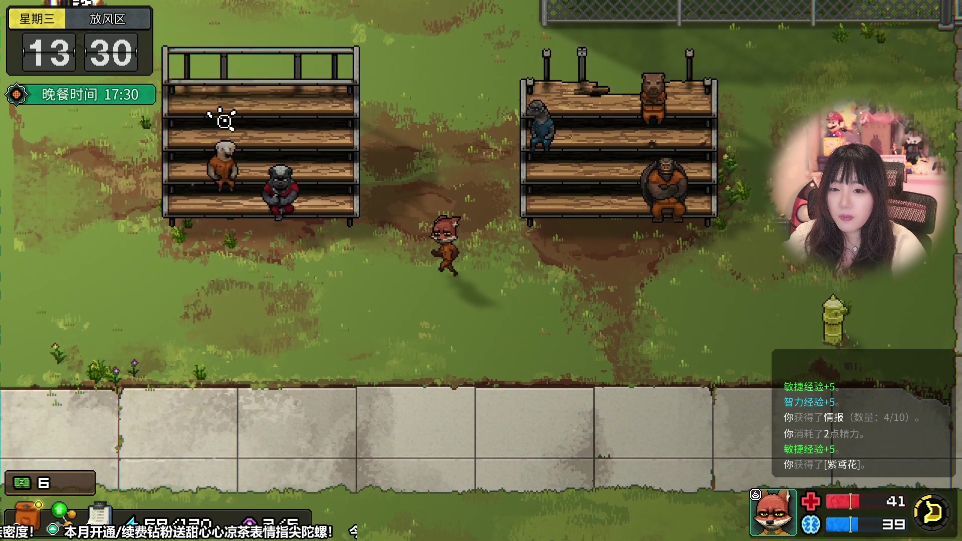 【2023-11-04 13点场】甜心战士：动物迷城第二季