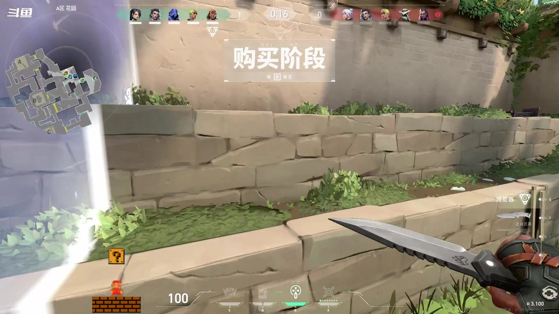 【2023-11-05 20点场】隐者丶丶：一个超级勤奋的小蜜蜂