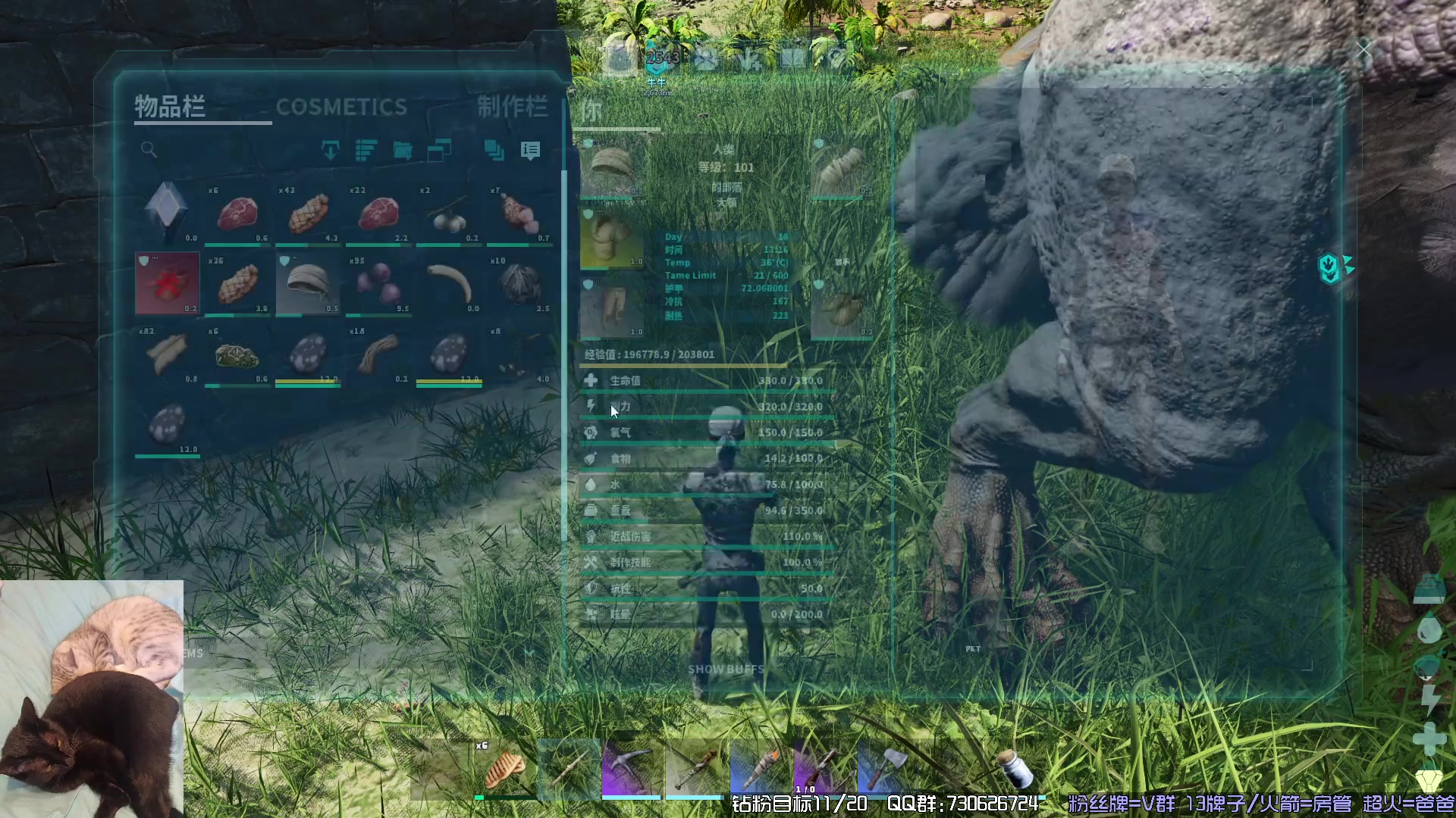 【2023-11-05 04点场】东方不败Athena：方舟，十一月生存，喵~