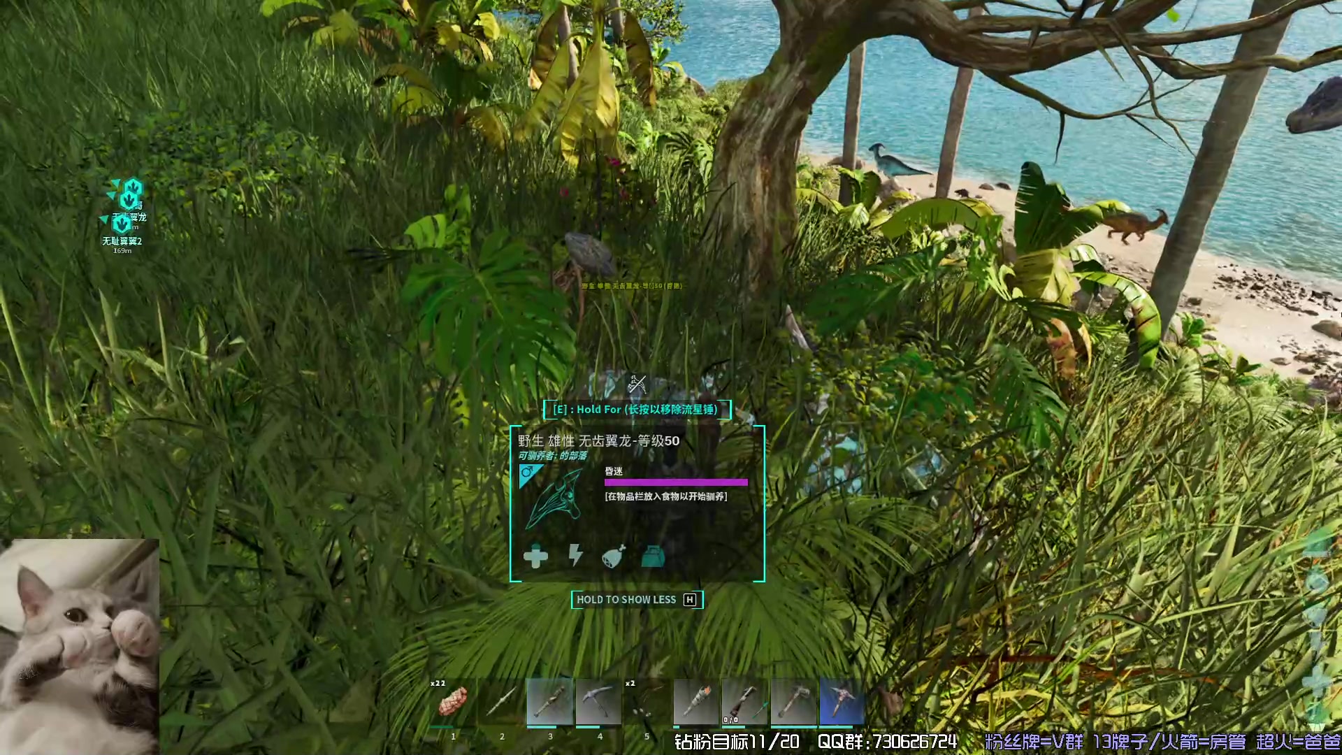 【2023-11-04 01点场】东方不败Athena：方舟，十一月生存，喵~