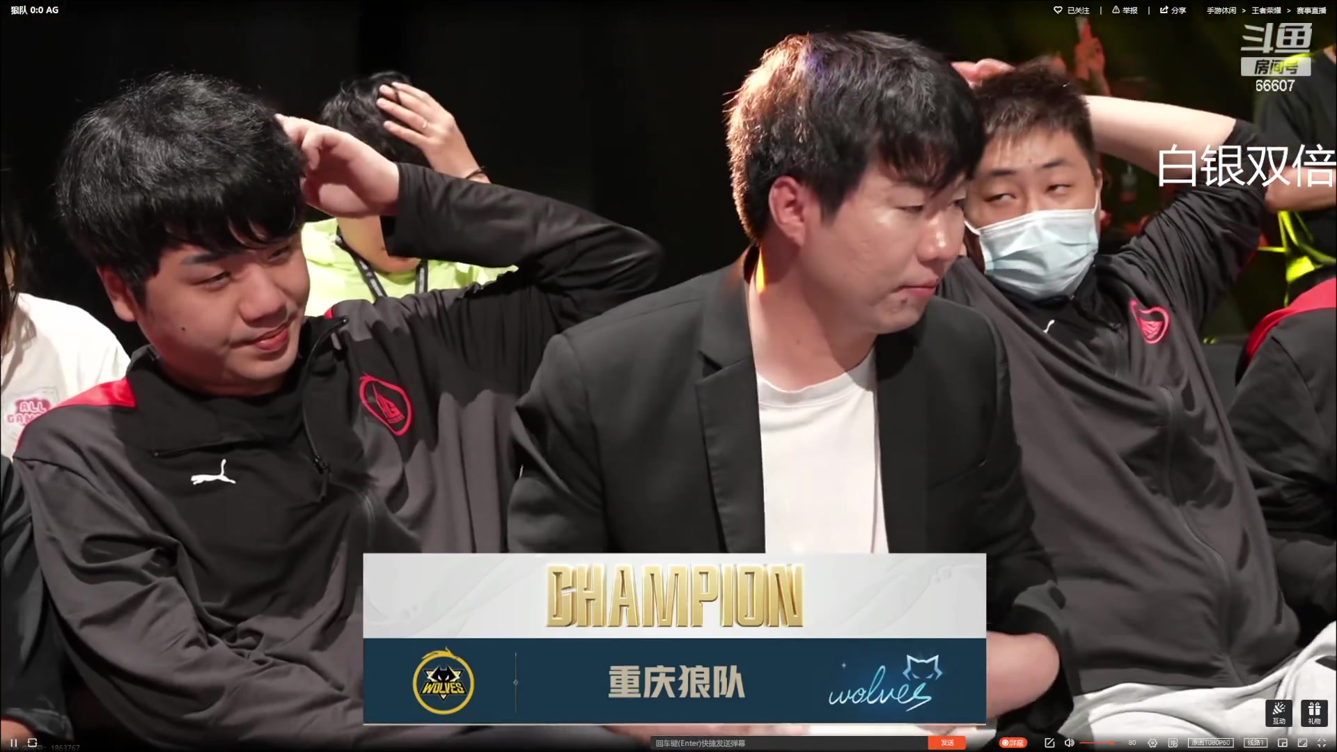 【2023-11-05 20点场】YTG丶落幕：白银双倍总决赛AG VS 狼队
