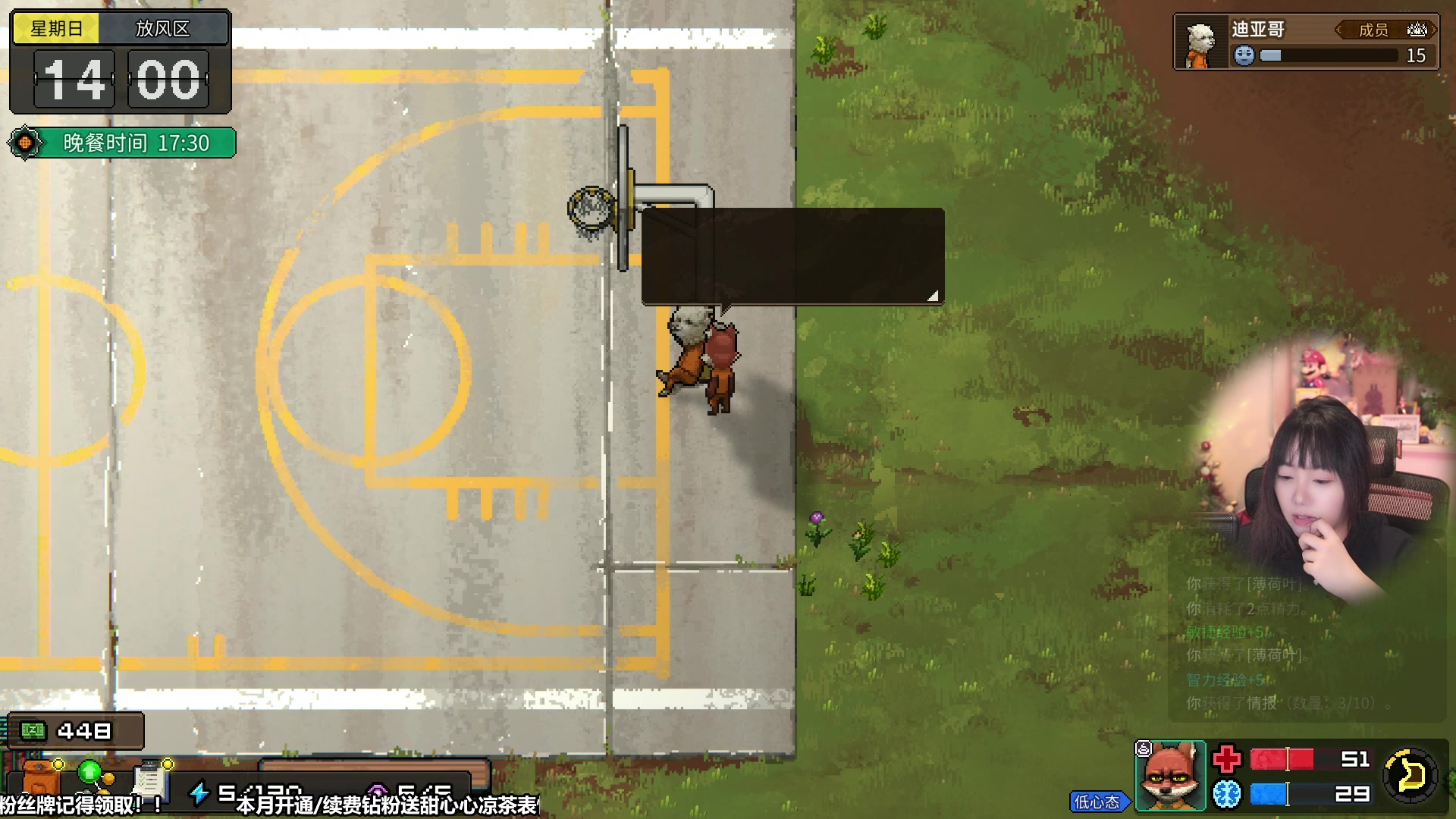 【2023-11-05 13点场】甜心战士：动物迷城发售辣！