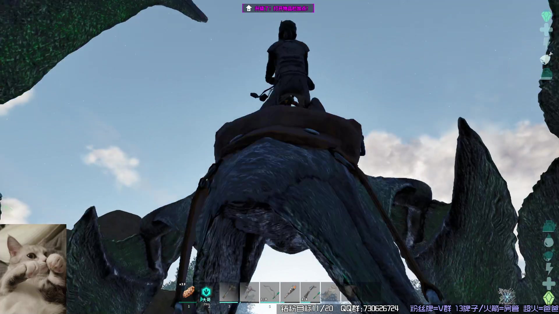 【2023-11-03 23点场】东方不败Athena：方舟，十一月生存，喵~