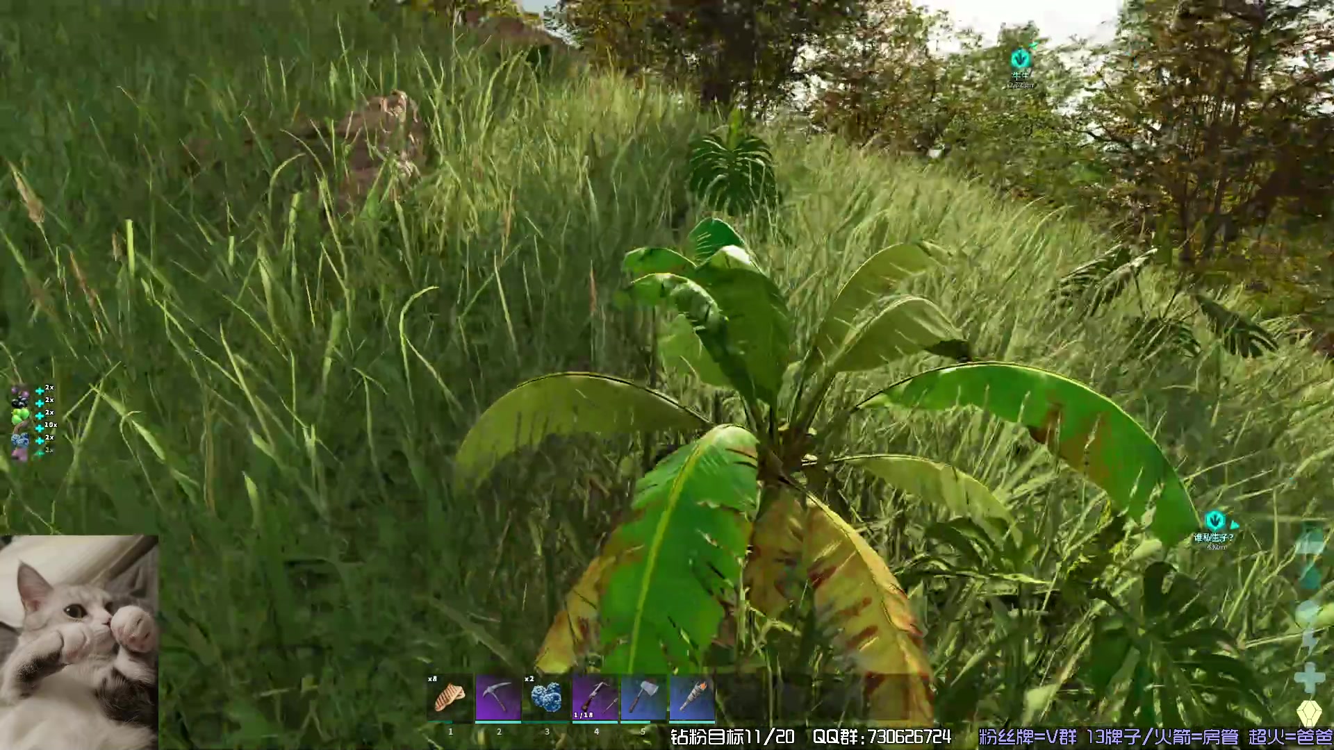 【2023-11-05 23点场】东方不败Athena：方舟，十一月生存，喵~