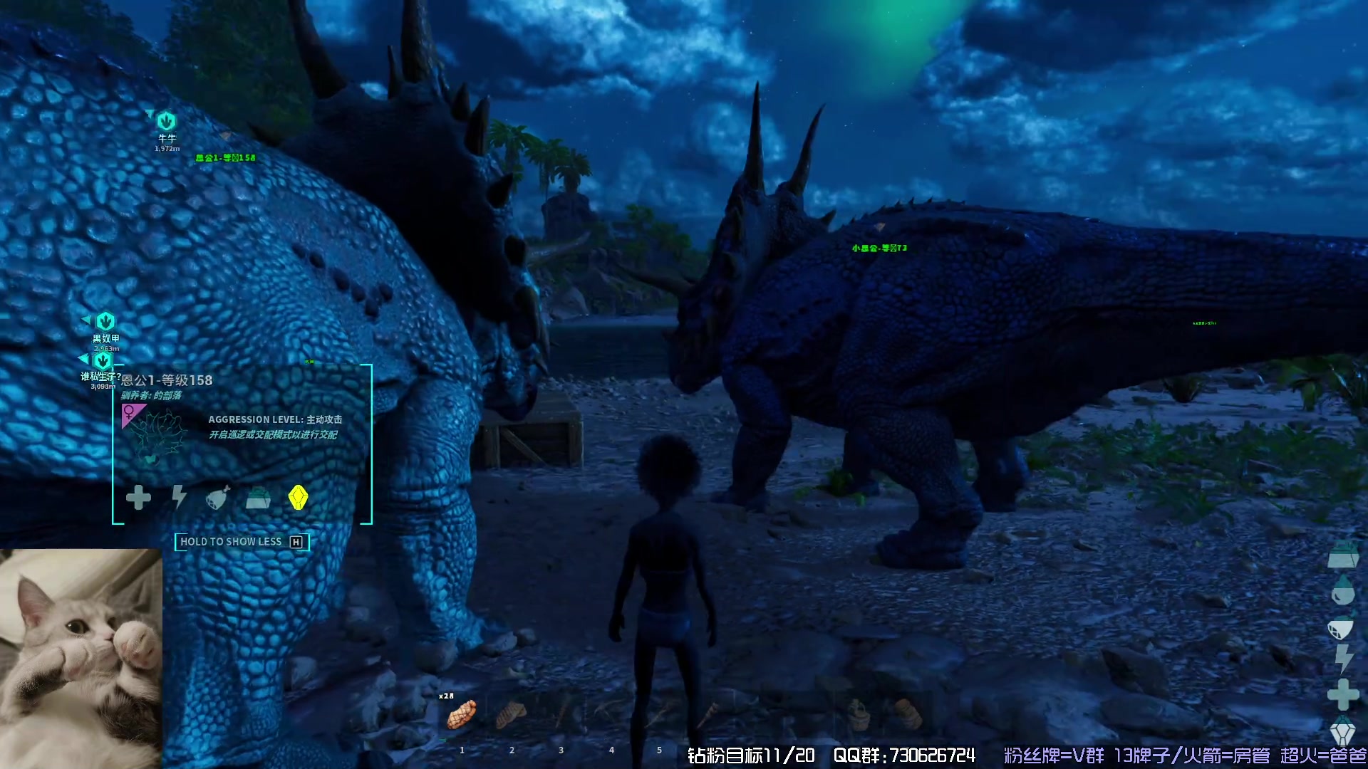 【2023-11-05 17点场】东方不败Athena：方舟，十一月生存，喵~