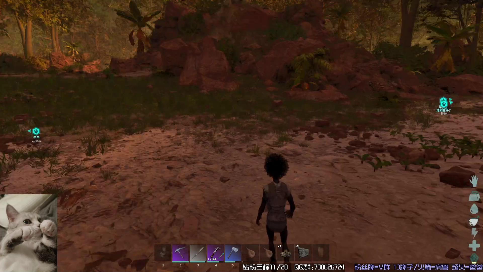 【2023-11-06 03点场】东方不败Athena：方舟，十一月生存，喵~