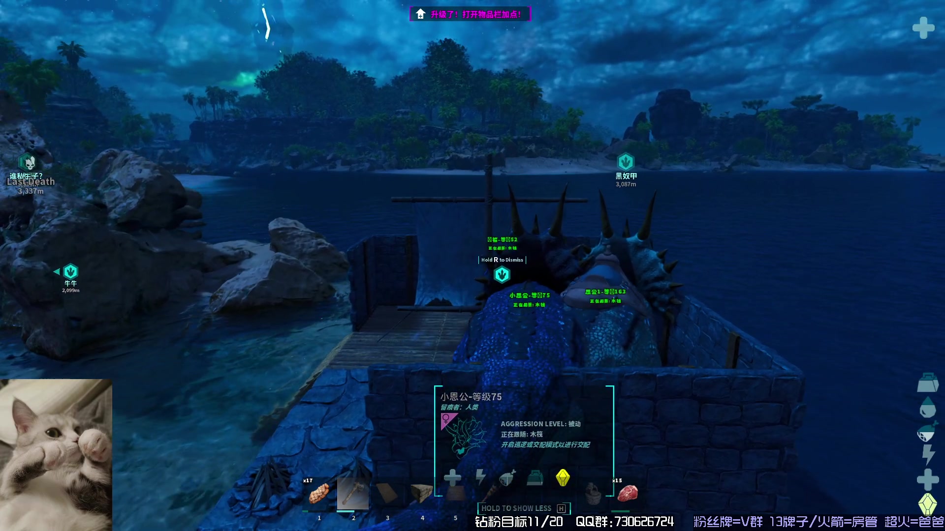 【2023-11-05 19点场】东方不败Athena：方舟，十一月生存，喵~