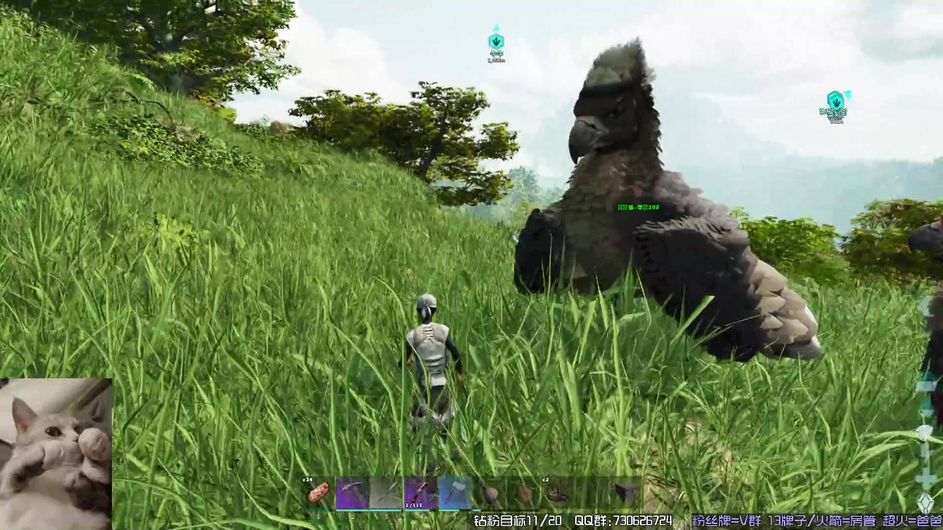 【2023-11-06 01点场】东方不败Athena：方舟，十一月生存，喵~