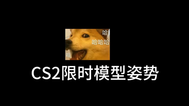 【小樱】cs2限时模型专属