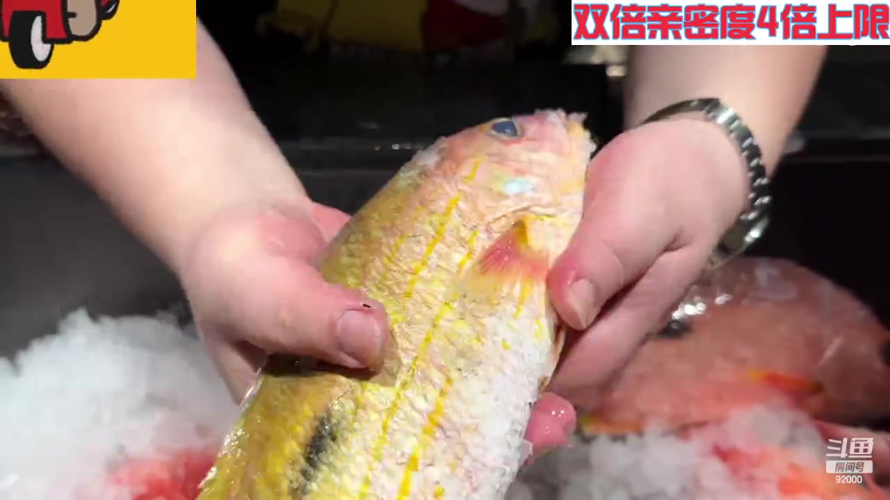 【2023-11-07 07点场】呆妹儿小霸王：【钻石4倍】一起see