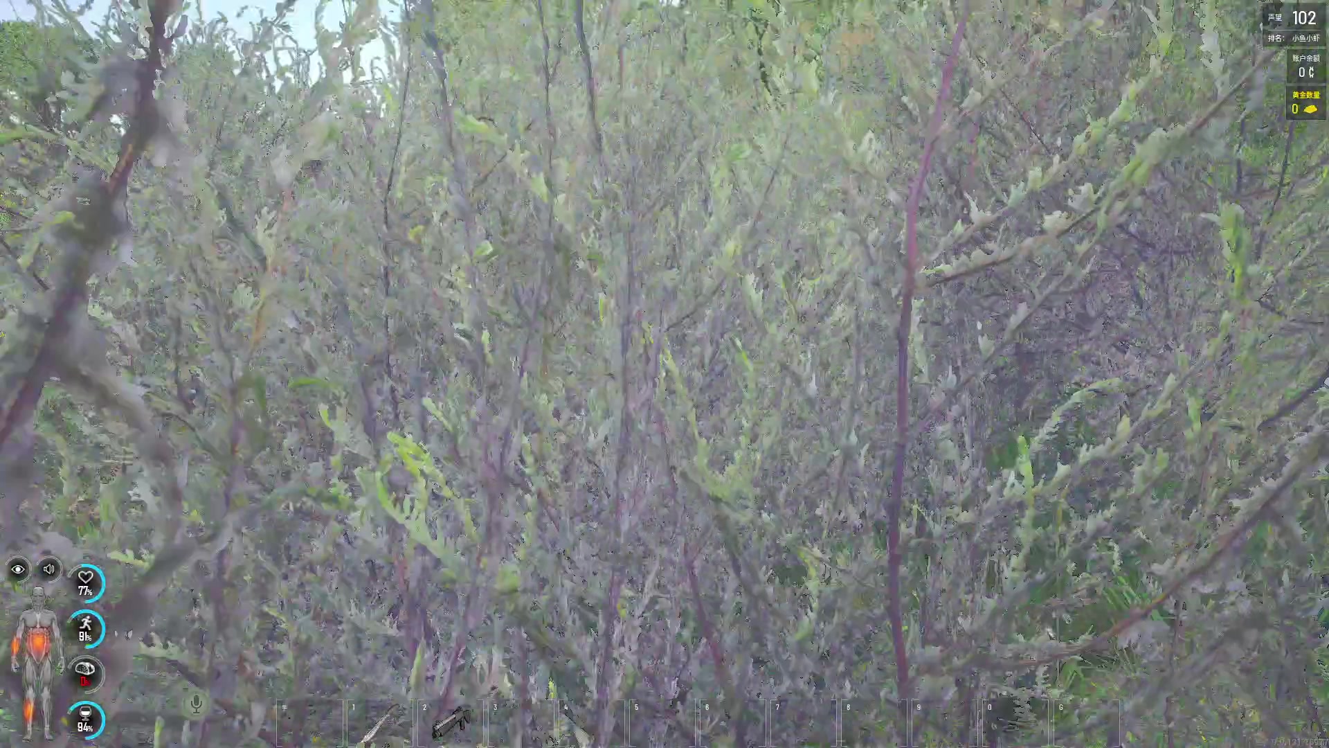 【2023-11-07 19点场】巴格拉斯：热爱生活，走进巴叔