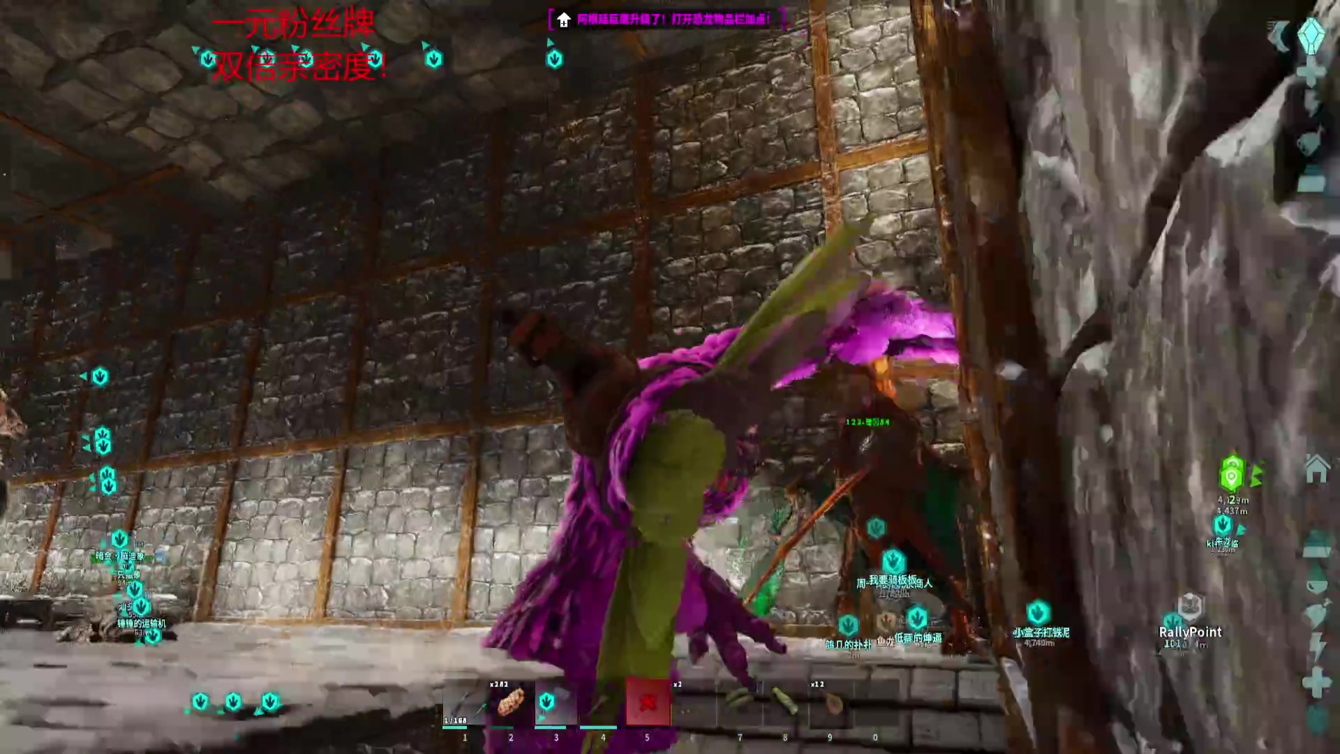 【2023-11-04 11点场】一只蘇l：你也是万圣节的蜘蛛嘛？