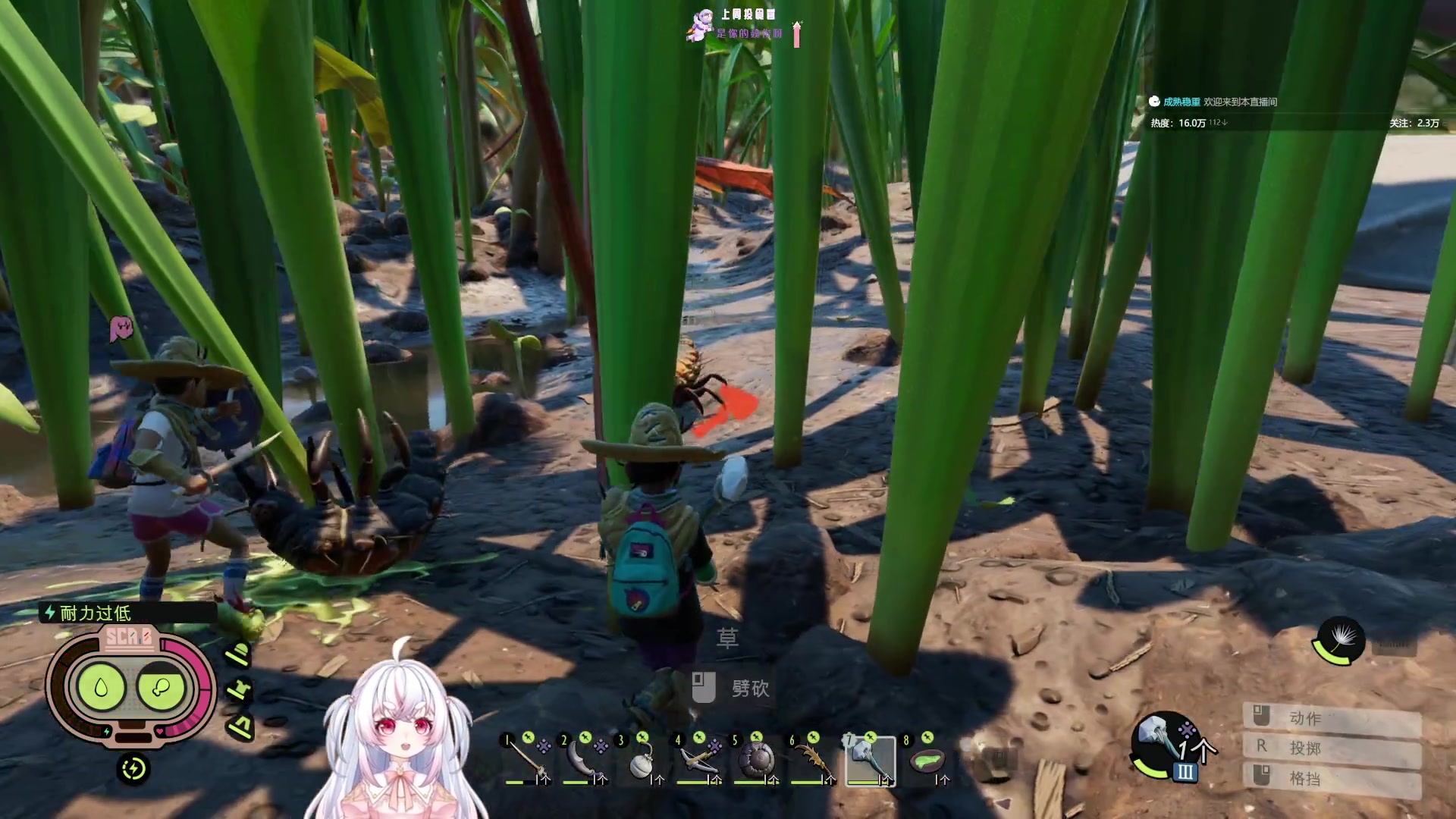 【2023-11-07 23点场】小猪哼x：打蚂蚁！打蜘蛛！4点打僵尸~~~