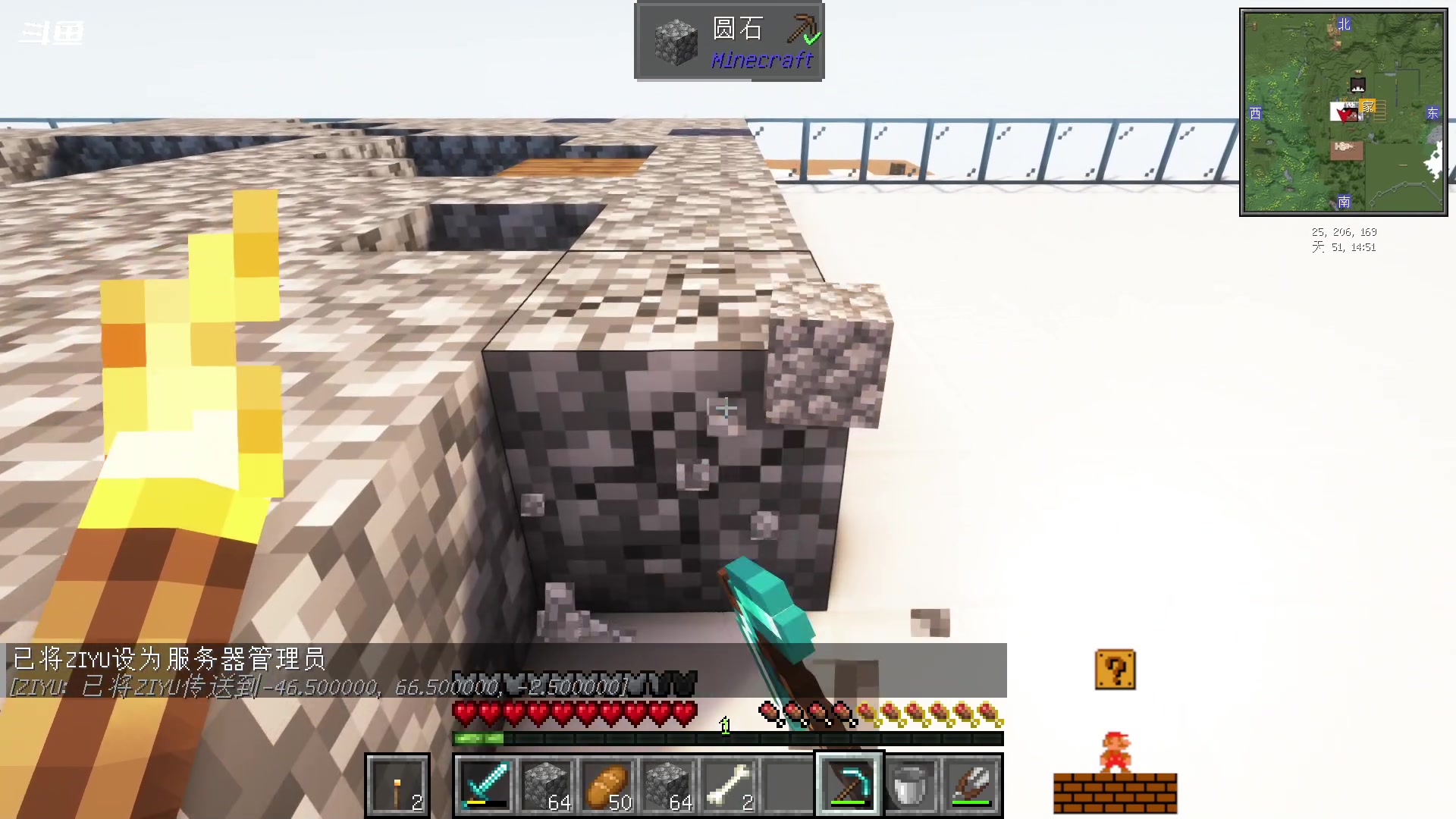 【2023-11-08 18点场】隐者丶丶：一个超级勤奋的小蜜蜂