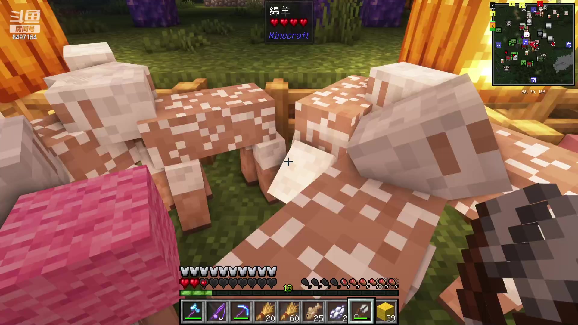 【2023-11-07 20点场】WE丶994：建造海景猫咪乐园！