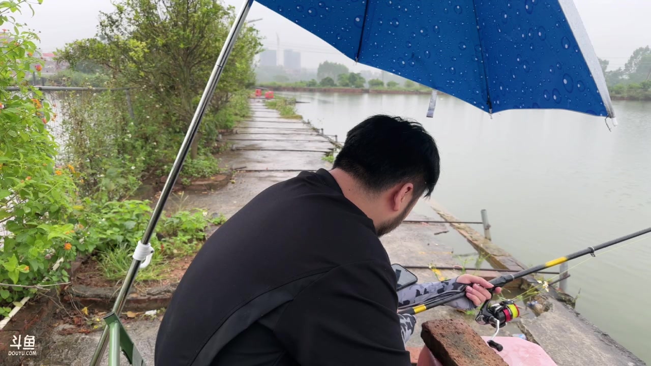【2023-11-08 13点场】Big茄子：生日快乐大家快乐