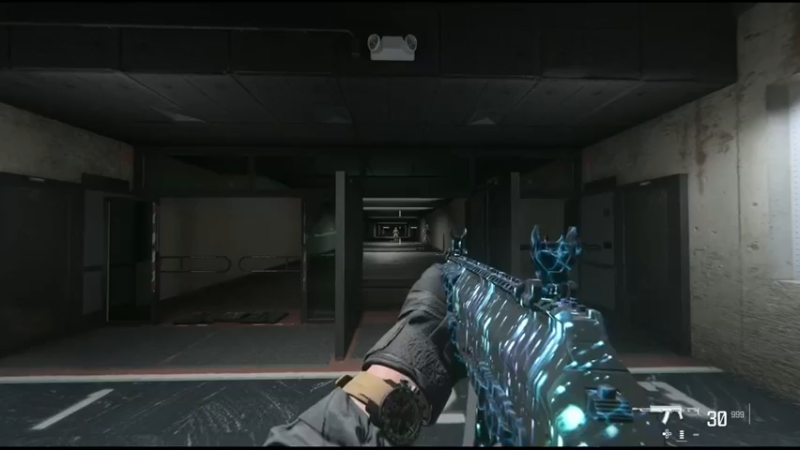 COD20  19武器-僵尸模式-精通迷彩-生物光迷彩预览-动态迷彩