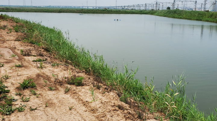 【2023-11-6 20点场】我知道午夜的星星:我知道午夜的星星的直播间