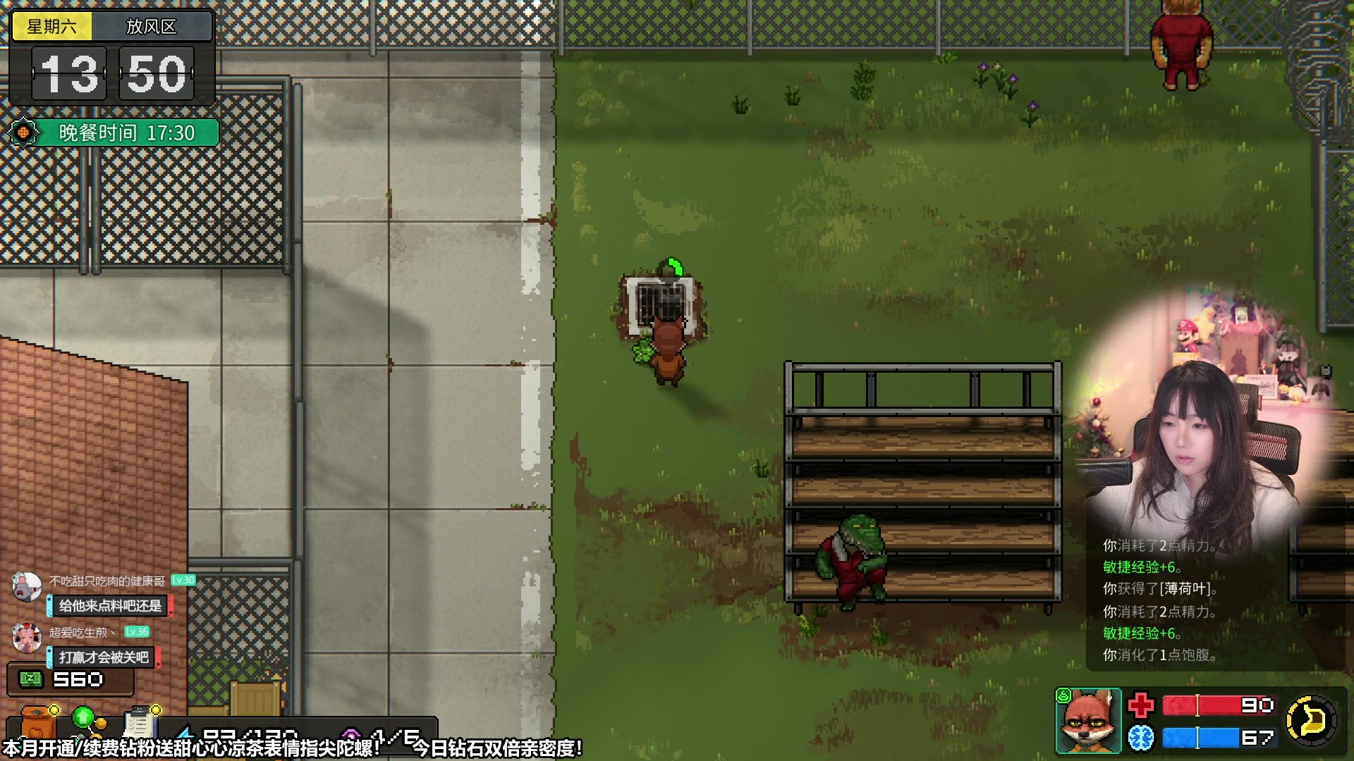 【2023-11-08 13点场】甜心战士：钻石双倍亲密度！继续动物迷城~