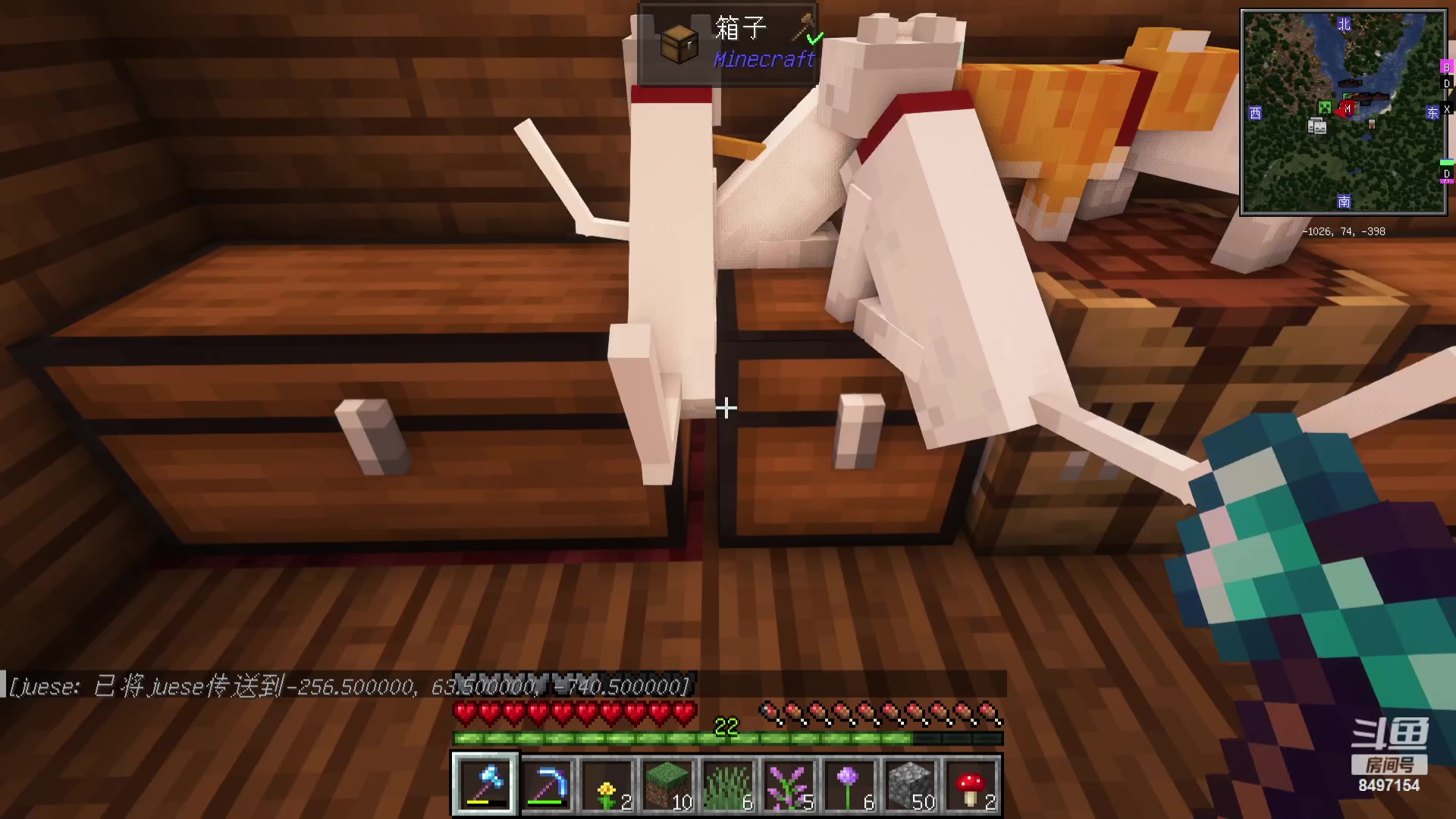 【2023-11-08 20点场】WE丶994：建造海景猫咪乐园！