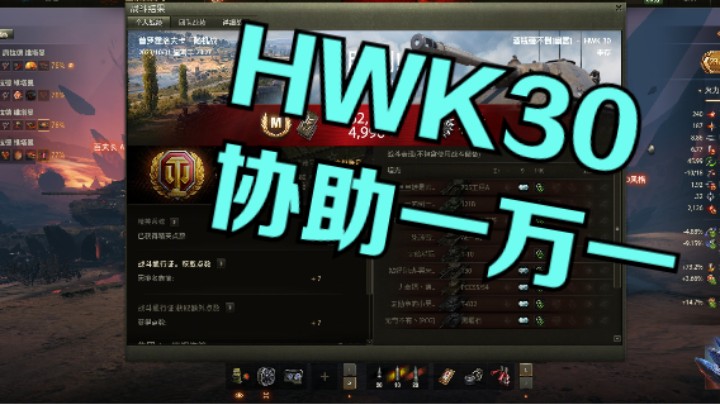 幽霊：224：HWK30普罗协助一万一#坦克世界